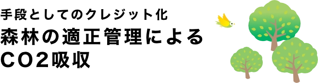 森林の適正管理によるCO2吸収